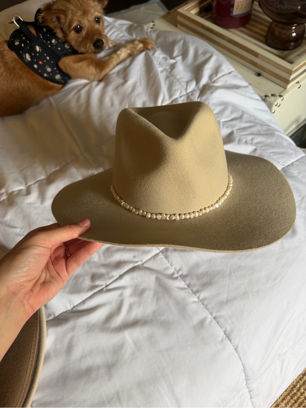 Wyeth by Todd Magill Pearl-Trim Wide Brim Hat - Beige